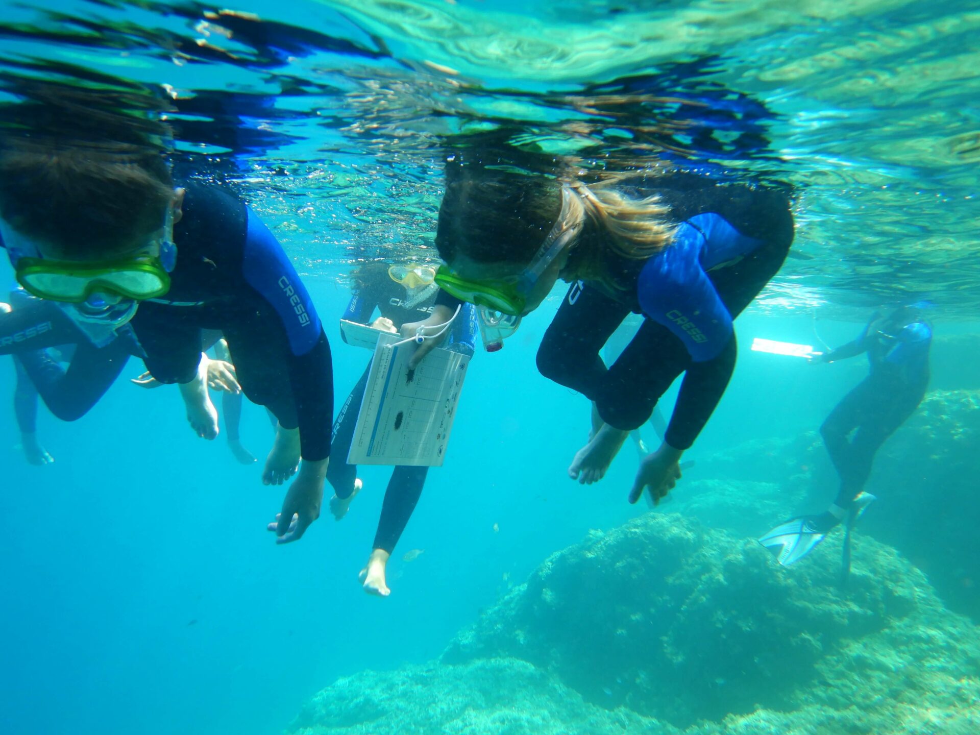 Impariamo il mare_laboratorio e snorkeling per bambini