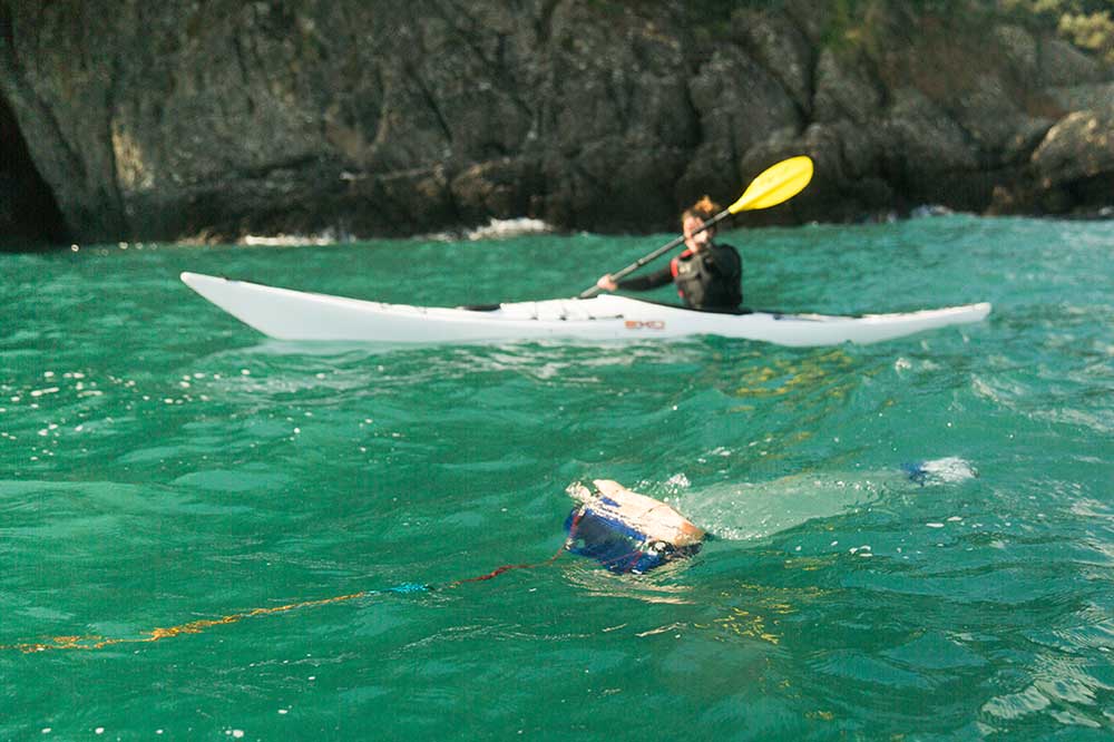 OP-CRABS-&-Micro-Plastic-Hunters_2021