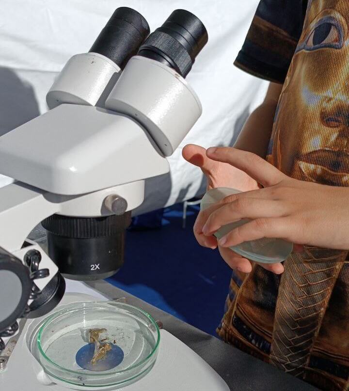 microscopio e analisi_laboratorio micromare_cosa si nasconde in una goccia d'acqua